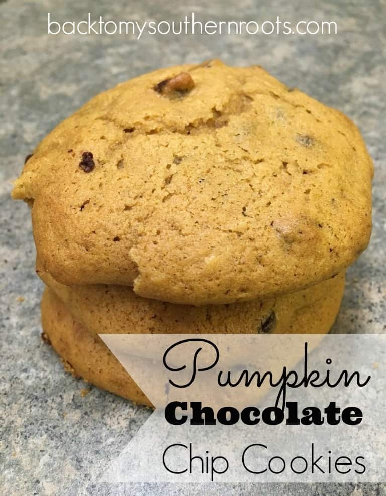 If you're looking for the perfect combination of chocolate and pumpkin, pumpkin chocolate chip cookies are the way to go. Don't miss out on this amazing pumpkin flavor-filled recipe.