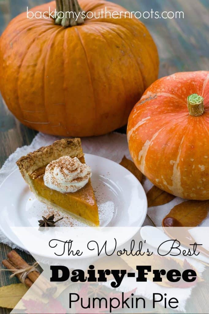 If you're looking for a great dairy-free pumpkin pie recipe, you've come to the right place. Don't miss out on this delicious and easy recipe, that can also be gluten-free. Click on the link and grab the recipe today.