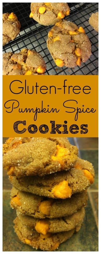 Gluten-Free Pumpkin Spice Cookies - Back To My Southern Roots