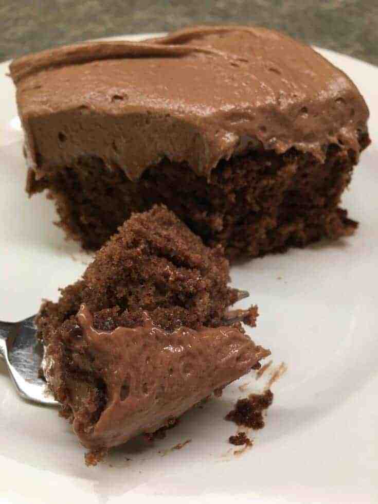 Picture of chocolate cake with frosting on a white plate.