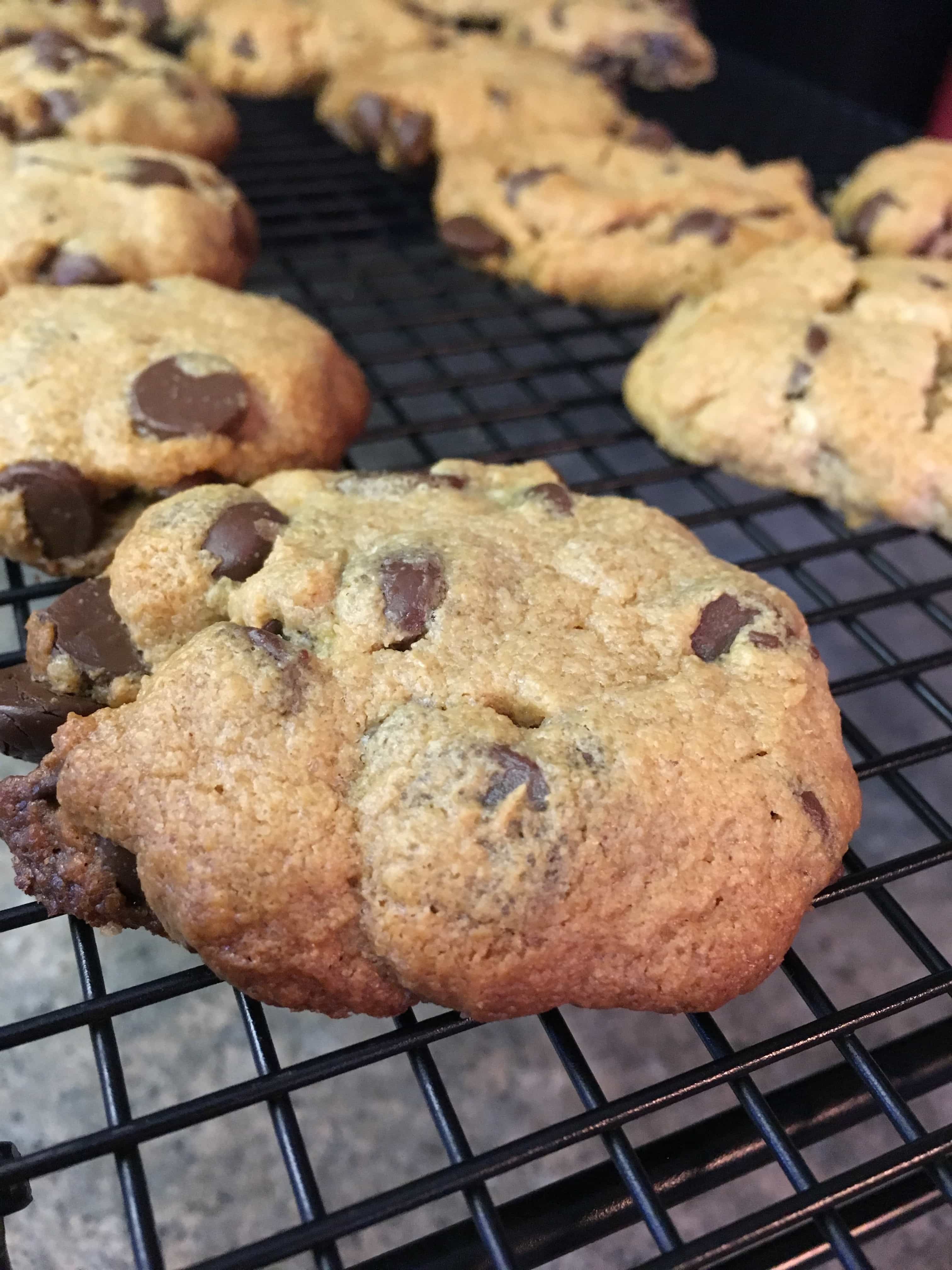 Gluten-free peanut butter chocolate chip cookies are a rich and decadent dessert that are easy to make. Trust me, you will love these.