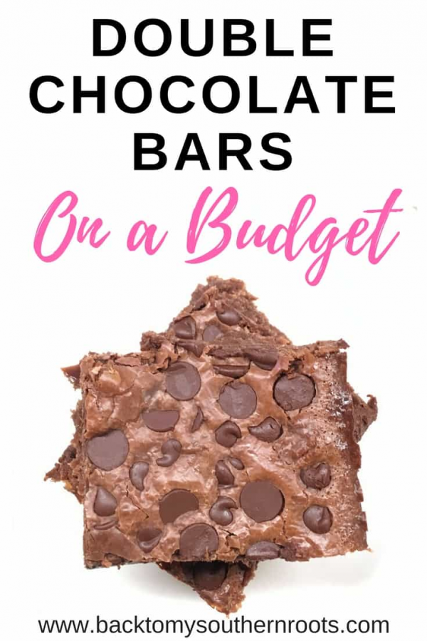 You are going to love double chocolate bars. Not only are they cheap and easy to make, they are incredibly delicious.