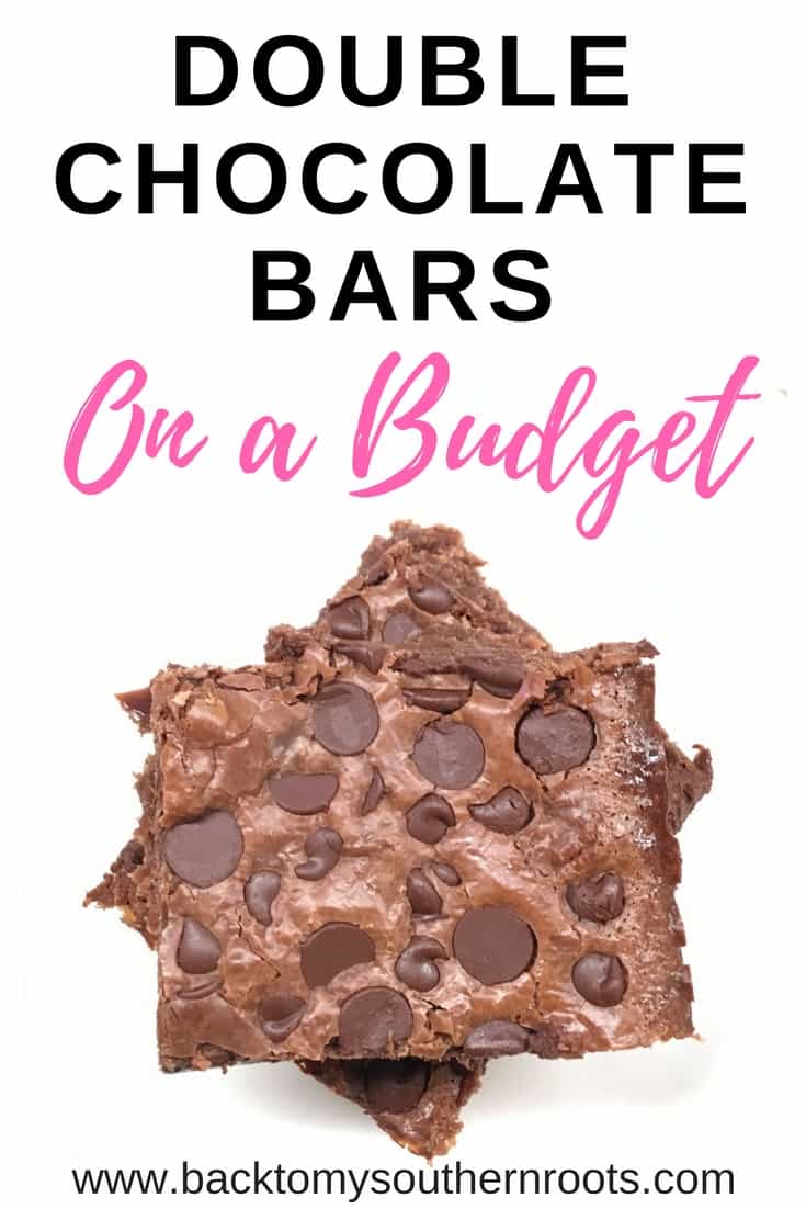 You are going to love double chocolate bars. Not only are they cheap and easy to make, they are incredibly delicious. 