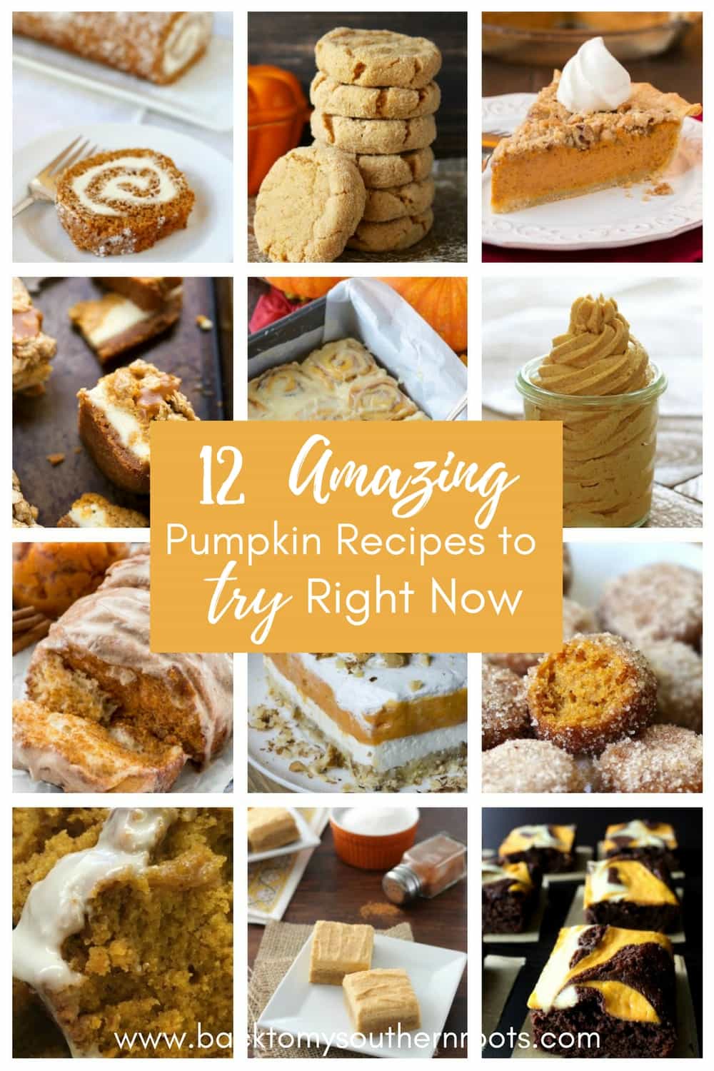 Amazing Pumpkin recipes to try right now