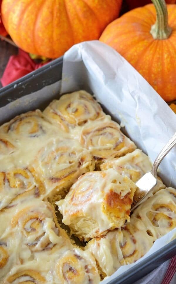 Pumpkin Cinnamon Rolls - The Novice Chef