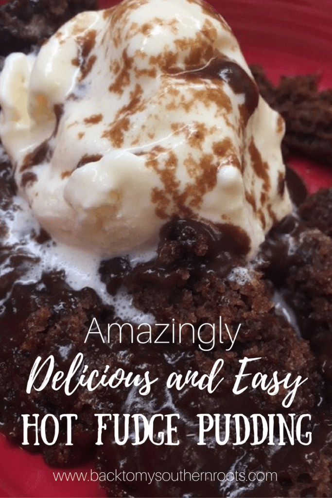 Amazingly Delicious and Easy Homemade Hot Fudge Pudding