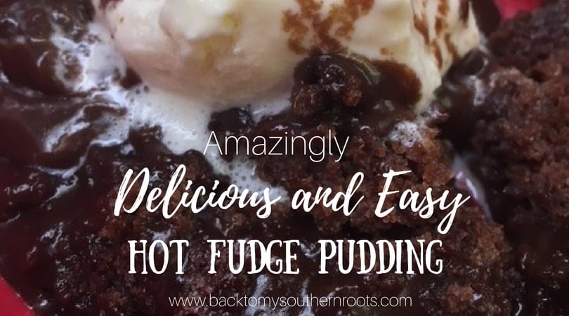 Amazingly Delicious and Easy Homemade Hot Fudge Pudding