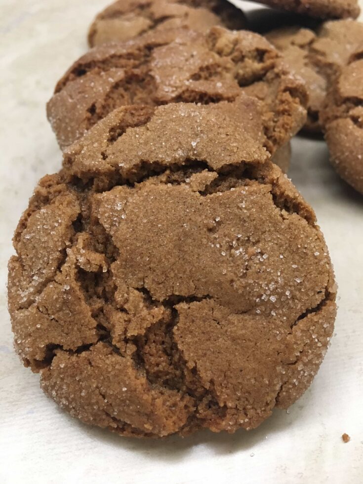 Gingersnap cookies on the counter