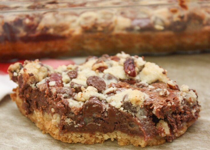 Sweetened Condensed Milk Chocolate Chip Bars