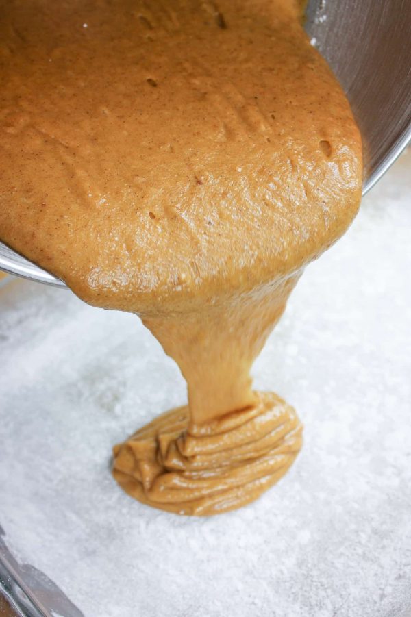 Pour the pumpkin cake mix into the pan to bake. 