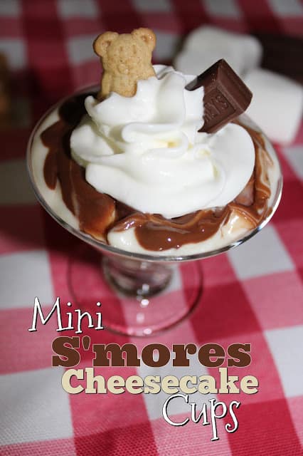 Mini S'mores Cheesecake Cups from Living On Cloud Nine