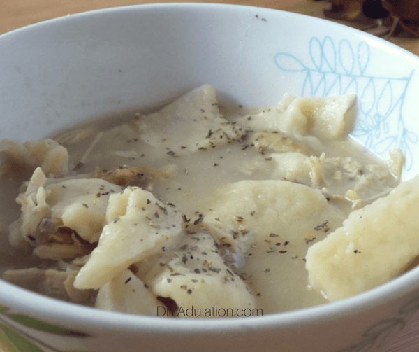 Picture of turkey and dumplings in a bowl.