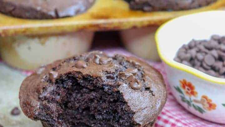 Double Chocolate Chip Muffin Recipe