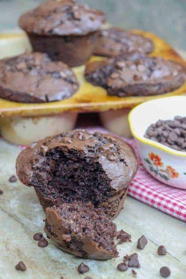 Picture of double chocolate muffin with chocolate chips.