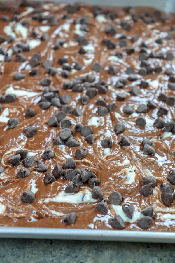 Picture of chocolate chips on a chocolate marbled cake.