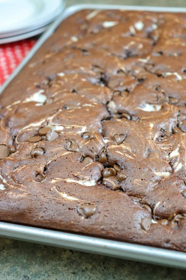 Picture of chocolate marble cake with chocolate chips and cream cheese. 