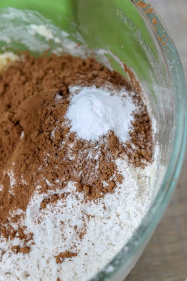 Picture of cocoa and baking soda. 