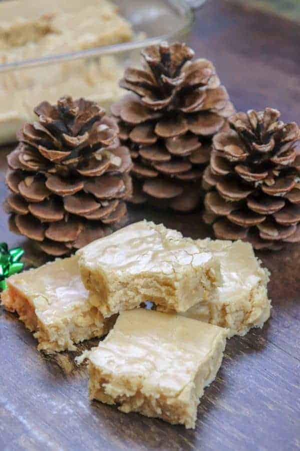 Picture of fudge and pinecones.