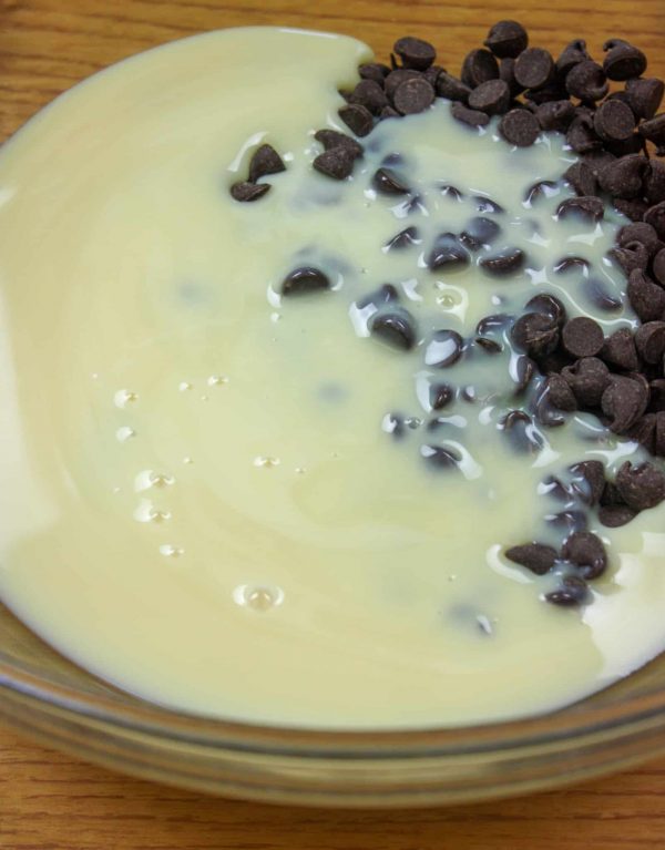 Picture of sweetened condensed milk in a bowl with chocolate chips