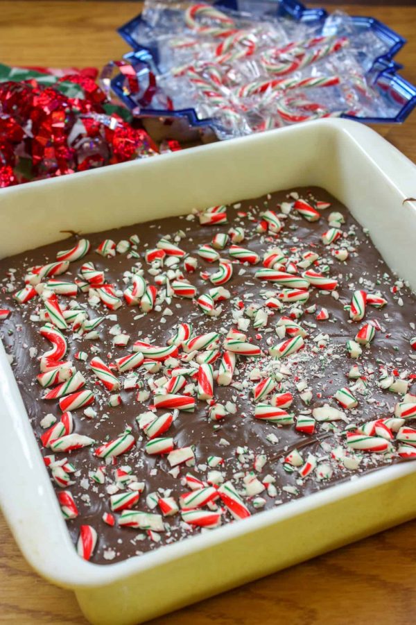 Picture of peppermint fudge