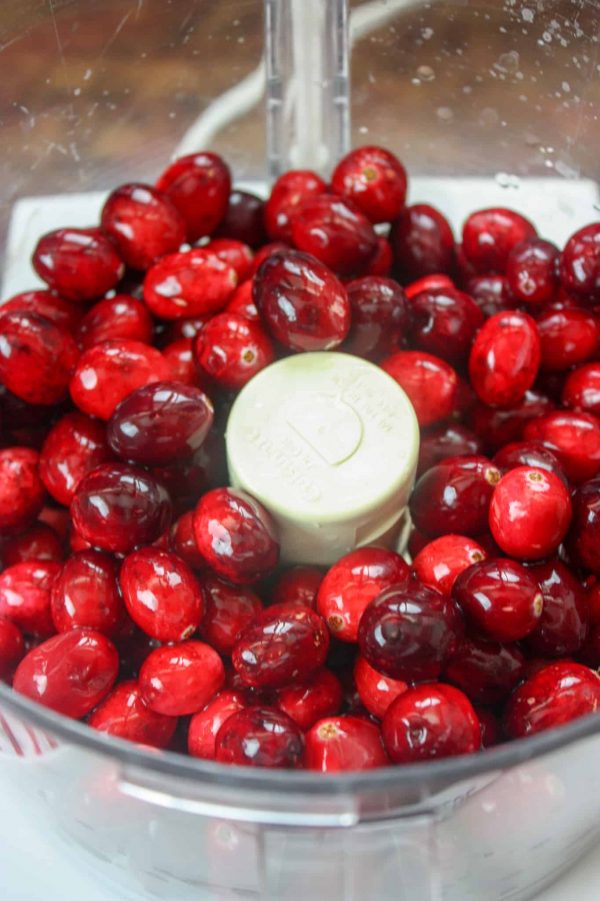 Picture of cranberries in a Cuisinart