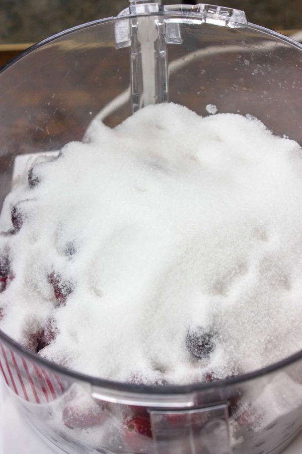 Picture of sugar and cranberries in a Cuisinart