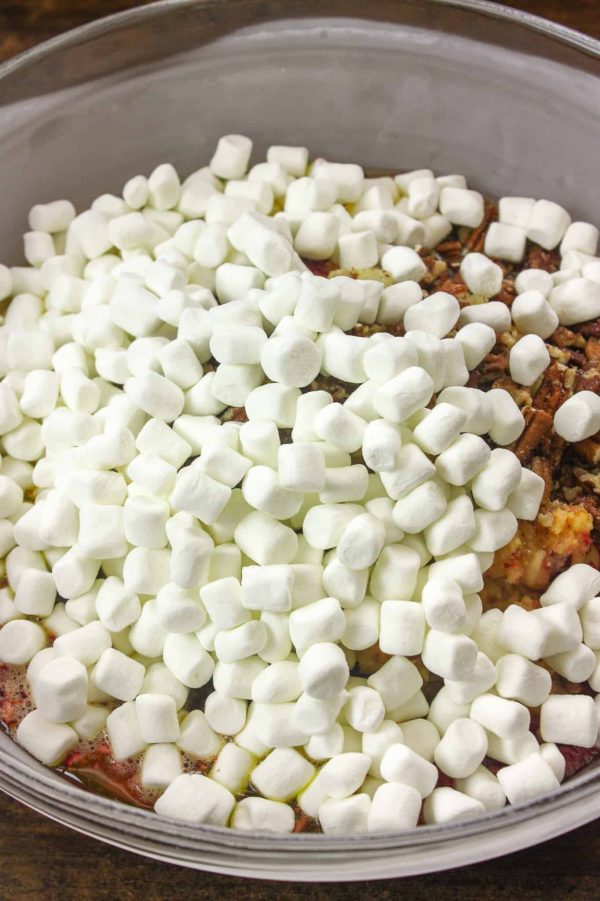 Picture of marshmallows on a cranberry salad.