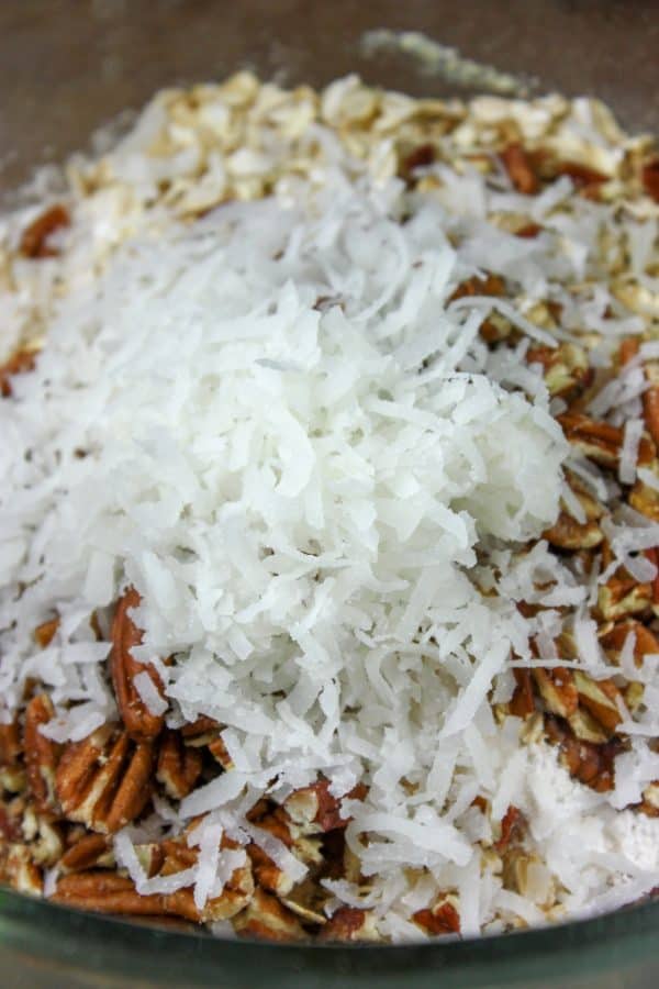 Picture of shredded coconut in a mixing bowl