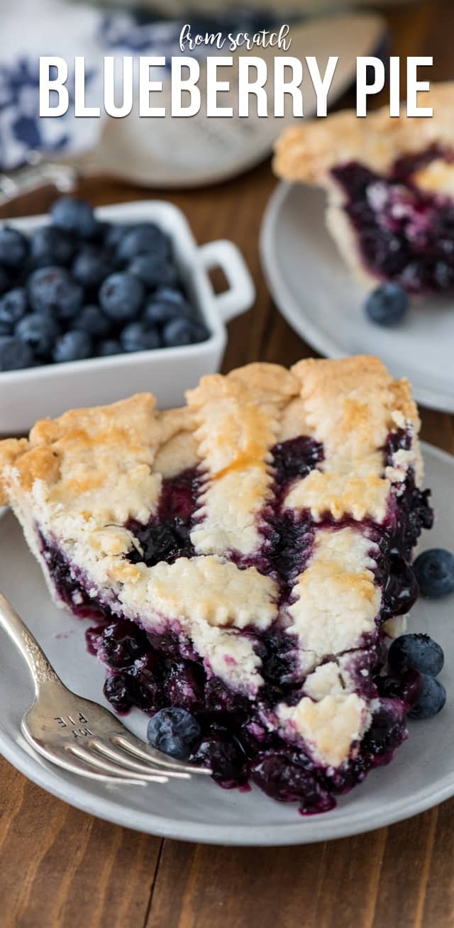 Maine - Blueberry Pie  - Crazy For Crust