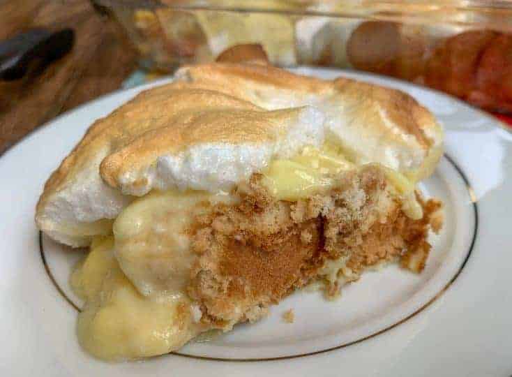 Picture of banana pudding on a plate.