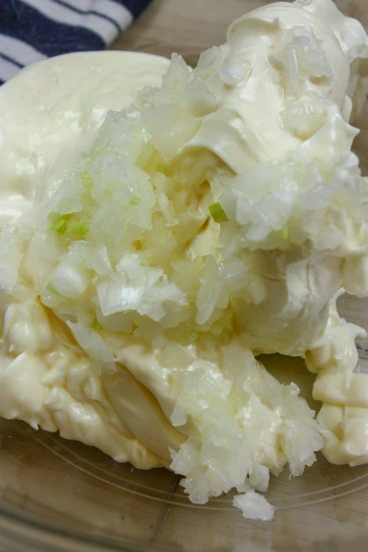 Picture of mayo and onions