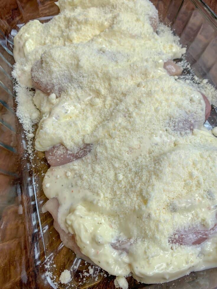 Picture of chicken breast covered in parmesan cheese