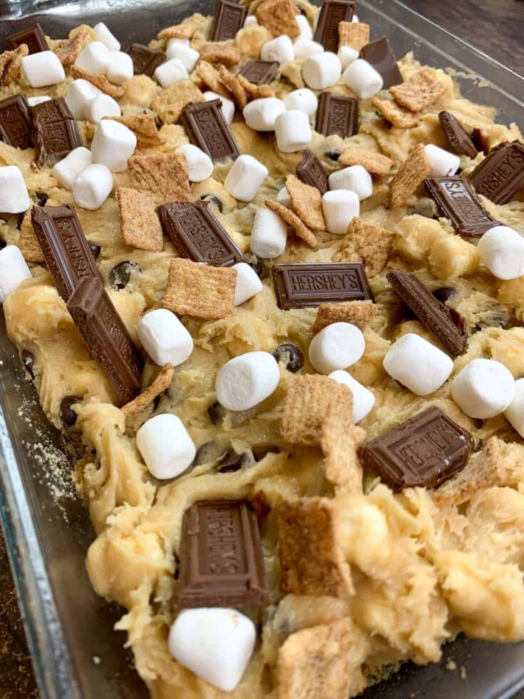 Picture of smores bars