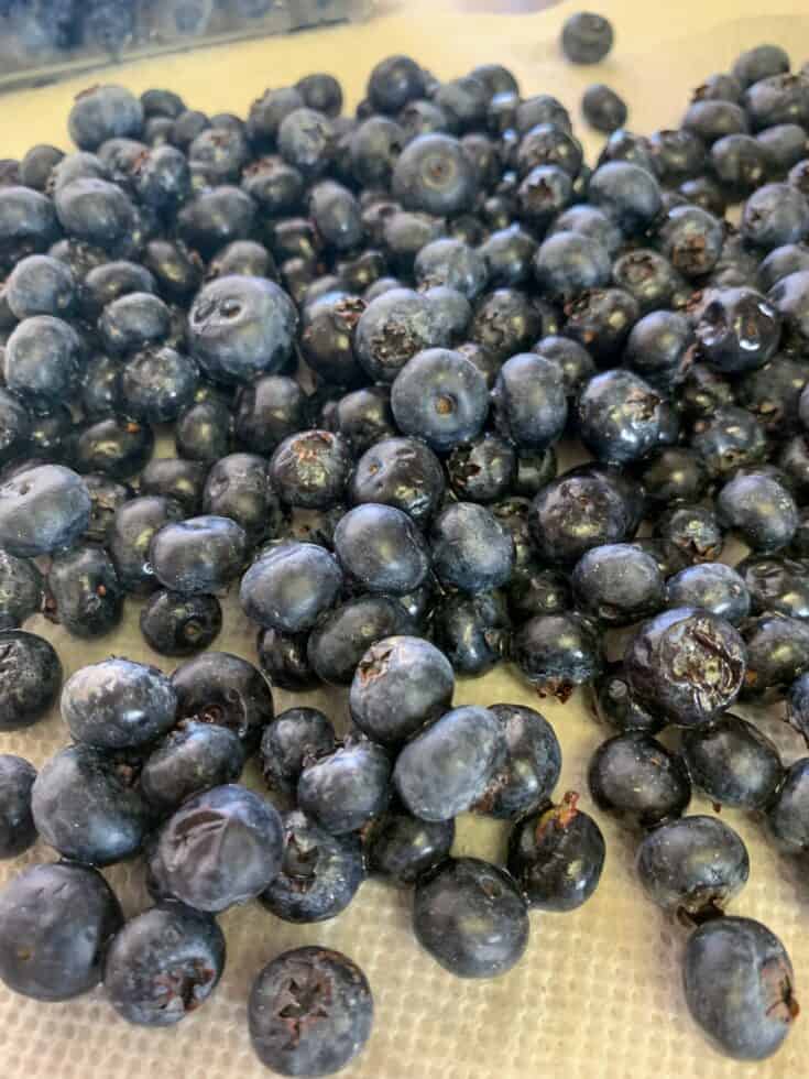 Picture of blueberries