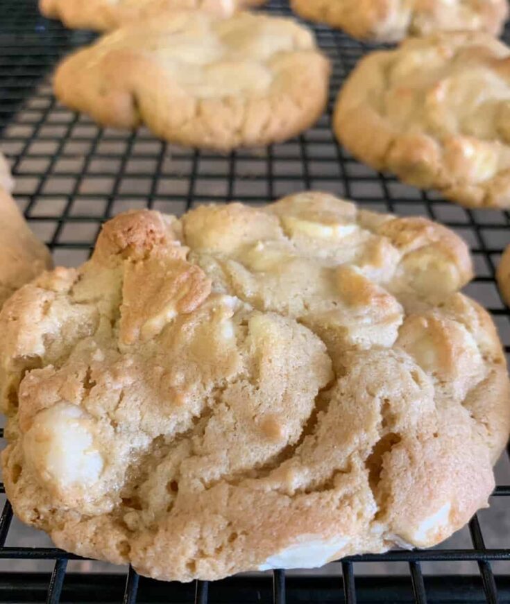 White chocolate macadamia nut cookies on a counter