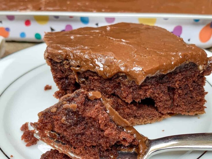 Buttermilk Chocolate Cake on a plate