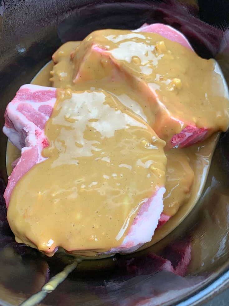 Pork chops in a slow cooker with gravy.