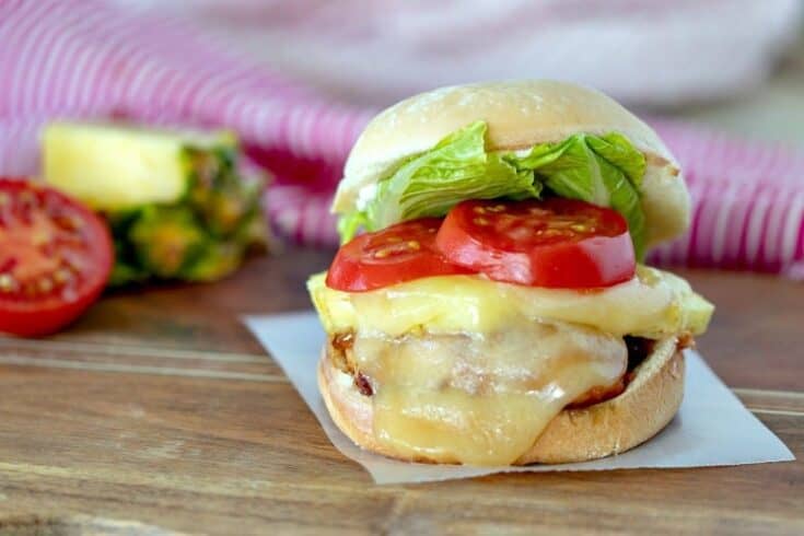 Teriyaki Chicken Burgers Recipe | Chicken Burgers