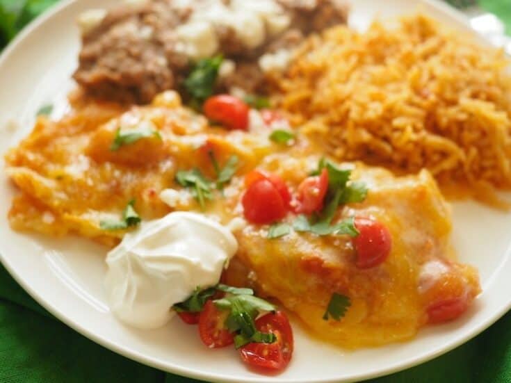 Cheese Enchiladas (The Cheesiest) - The Fresh Cooky