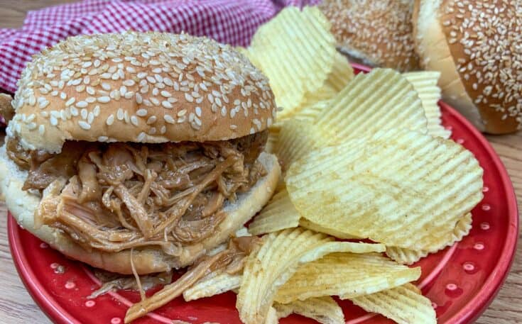 Pork with gravy on a bun with chips