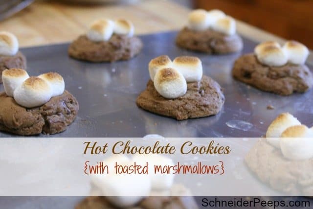 Hot Chocolate Cookies - a family favorite