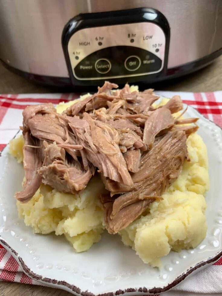 Shredded pork on mashed potatoes