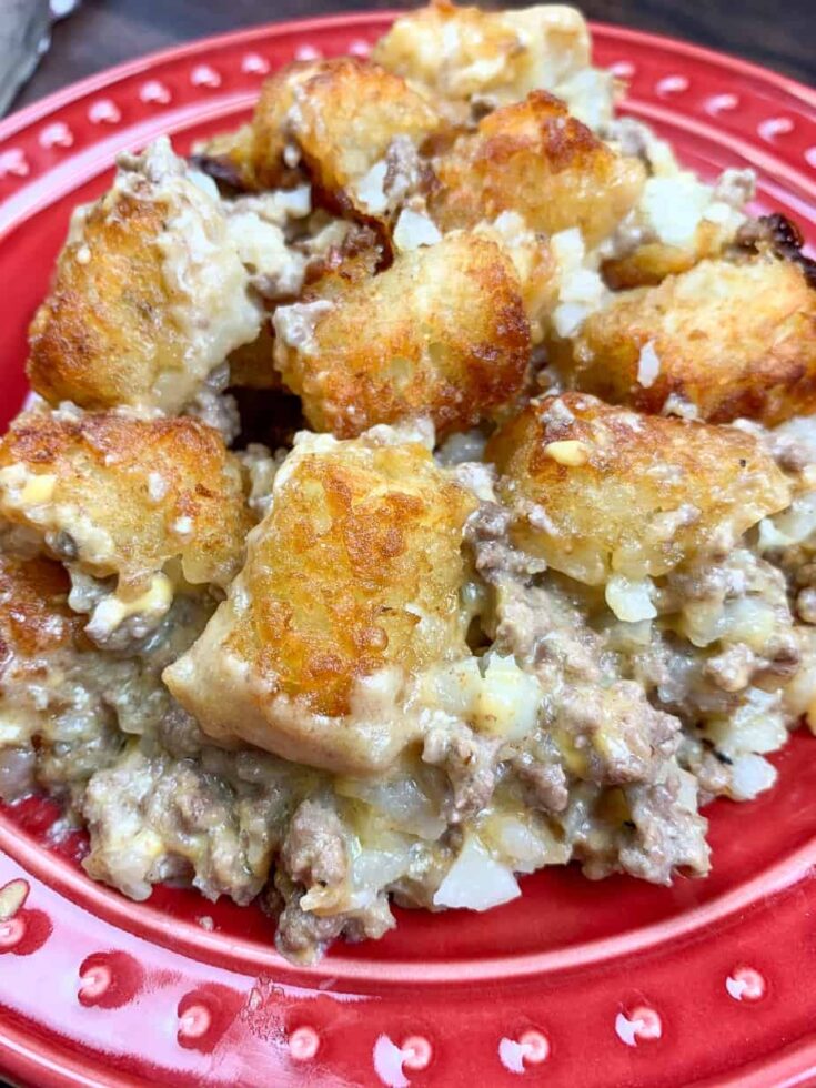 Tater tots and meat on a plate.
