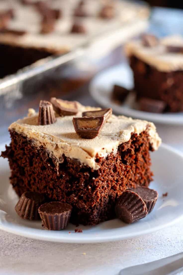 Peanut Butter Chocolate Sheet Cake