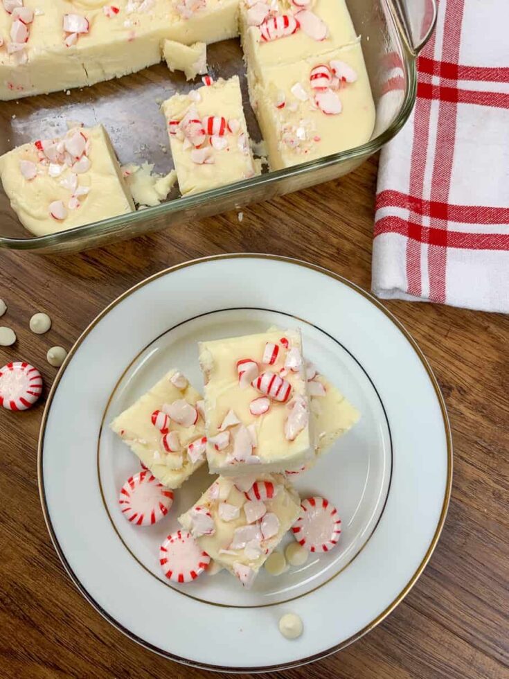 Chocolate fudge with peppermints on top on a white plate