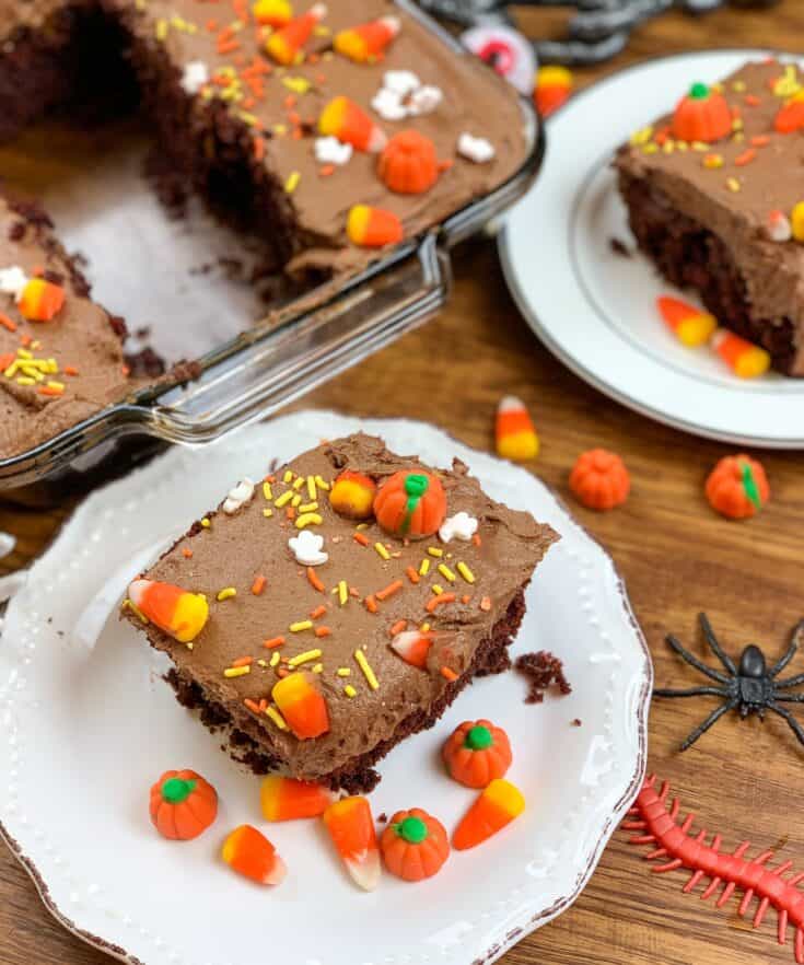 Chocolate cake on a white plate. 