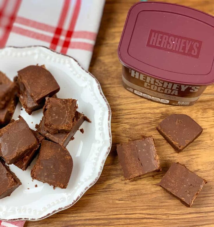 Chocolate fudge on a countertop and on a plate