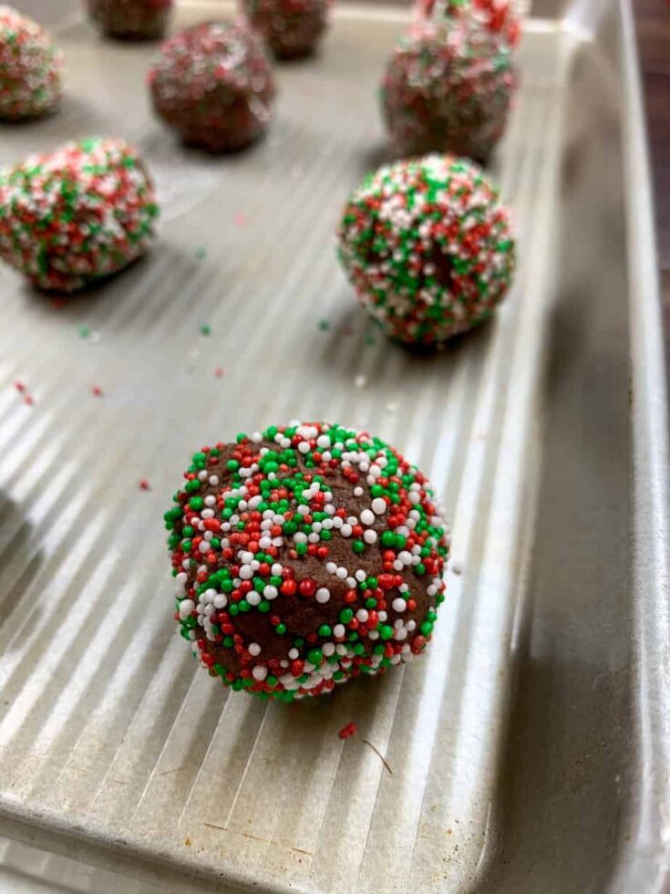 Chocolate cookies rolled in sprinkles and set on a cookie sheet