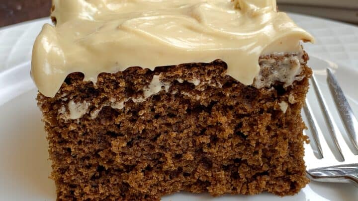 Gingerbread Cake with Frosting