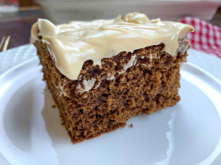 Gingerbread cake slice on a plate